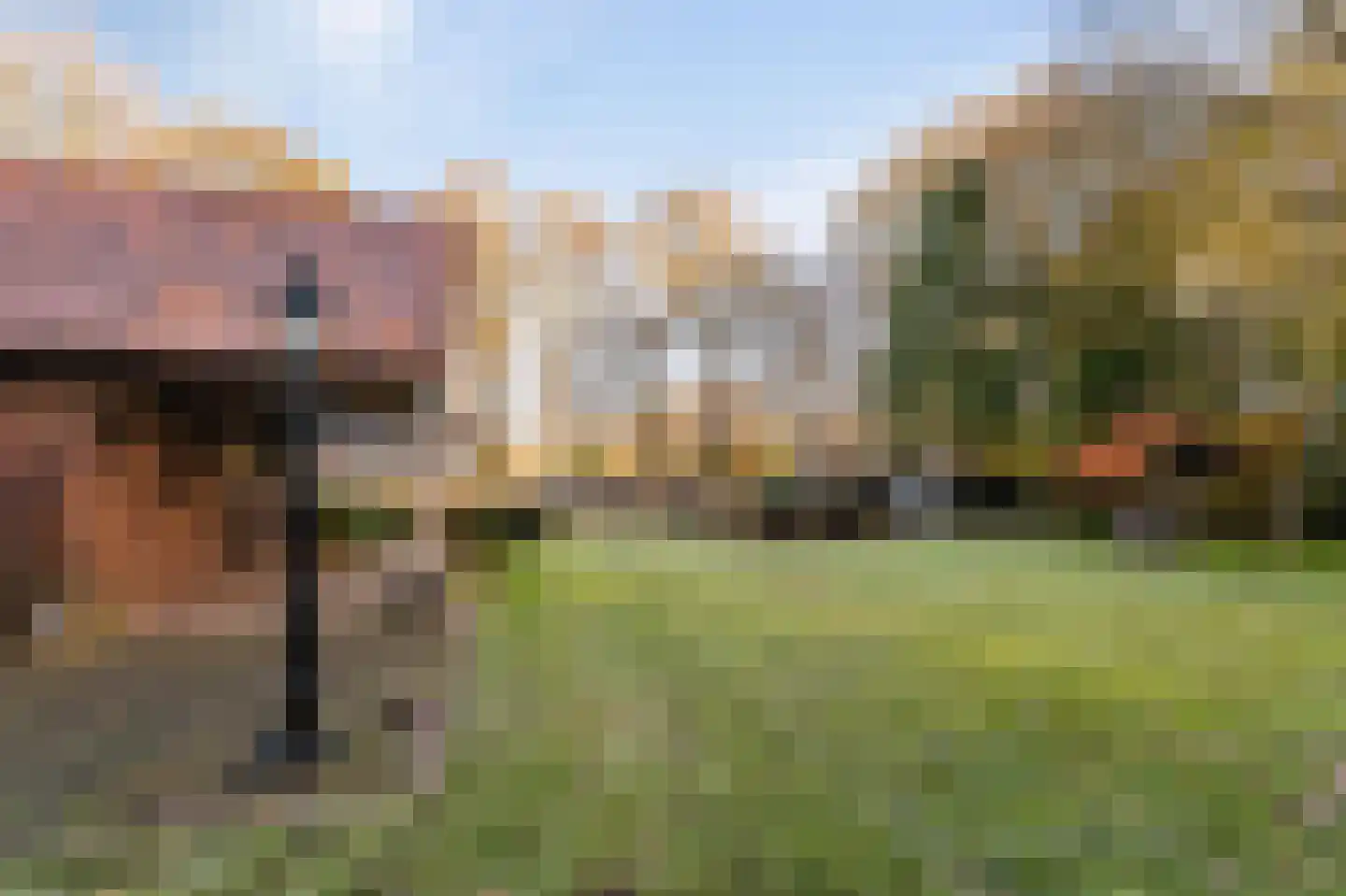 Kamperweg 3 B Emmeloord thumbnail 43