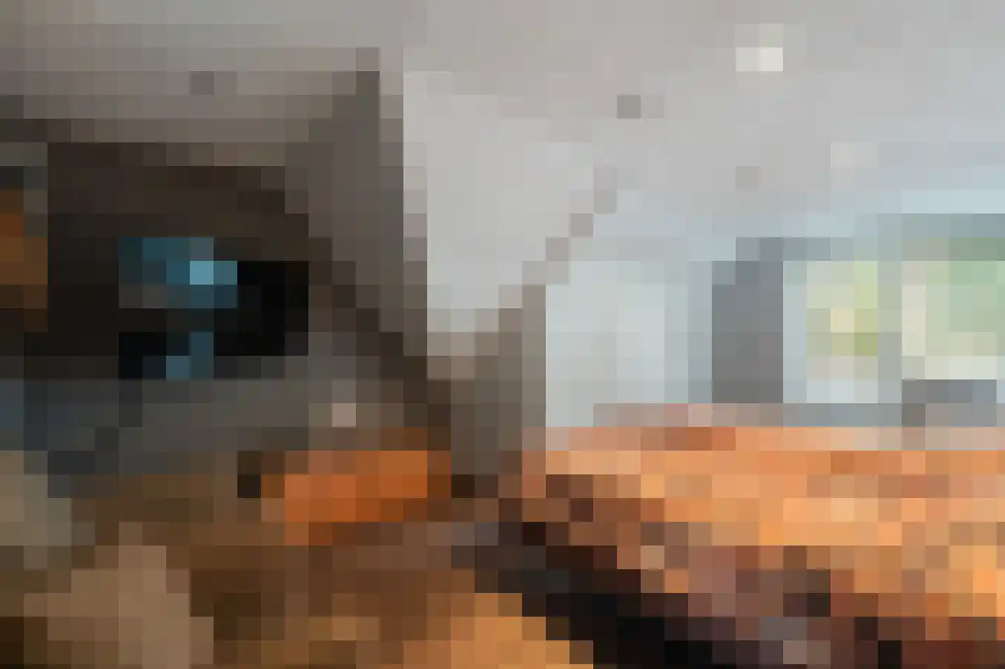 Kamperweg 3 B Emmeloord thumbnail 52
