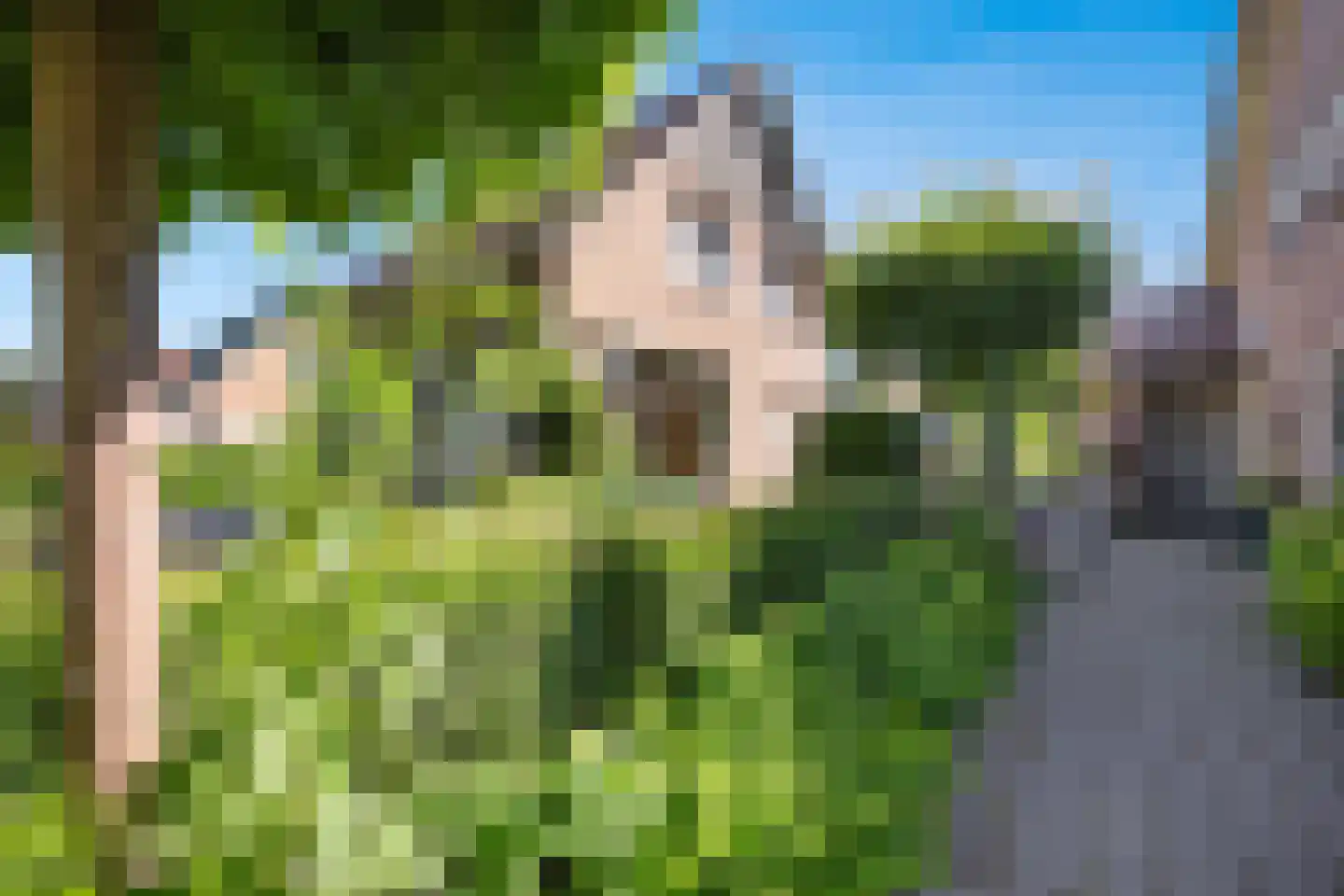 Kamperweg 32 Heerde thumbnail 23