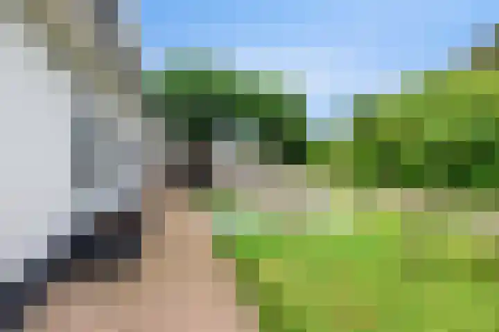 Kamperweg 50 Heerde thumbnail 37
