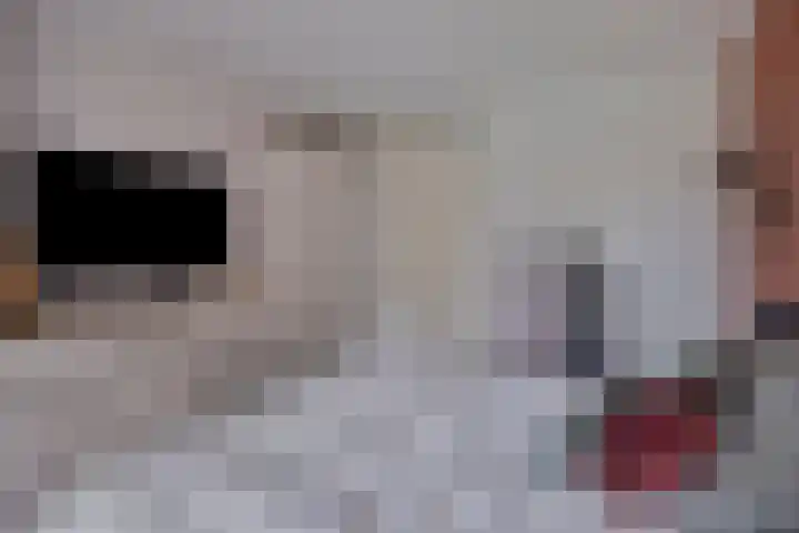 Kamperweg 6 Heerde thumbnail 20