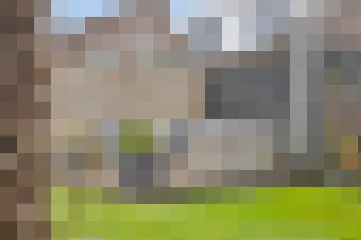 Kamperweg 6 Heerde thumbnail 27