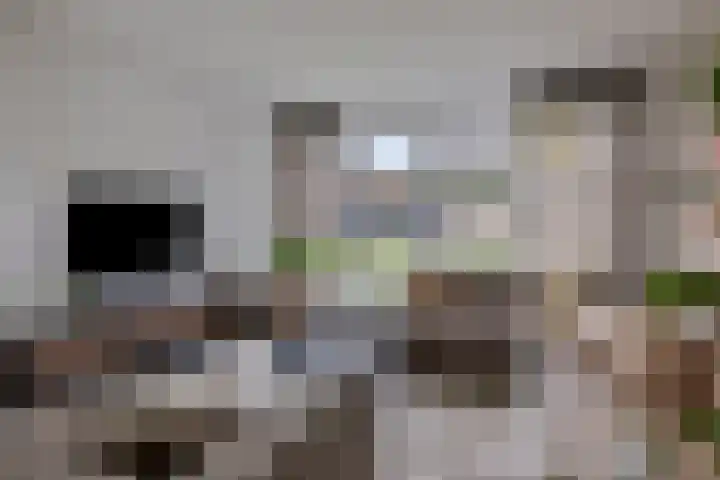 Kamperweg 6 Heerde thumbnail 4