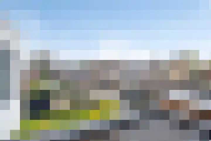 Kamperweg 6 Heerde thumbnail 42