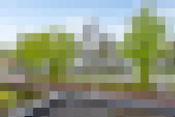 Kamperweg 6 Heerde thumbnail 43