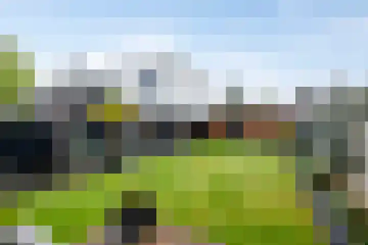 Kamperweg 6 Heerde thumbnail 46