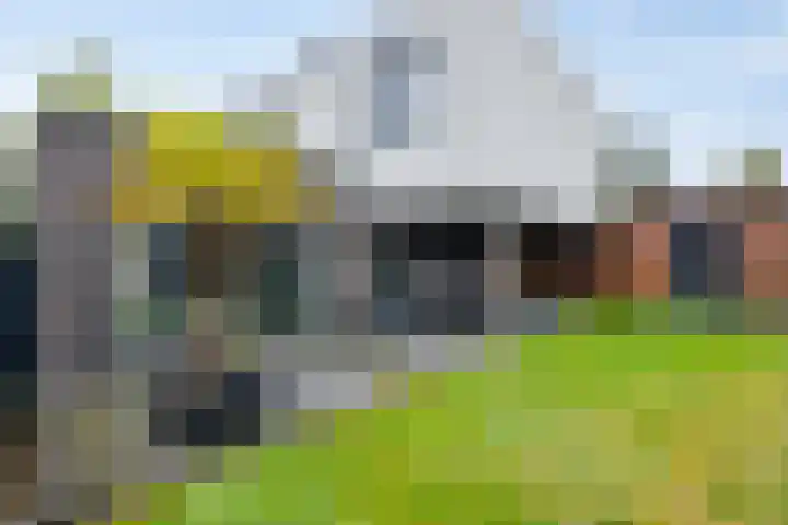 Kamperweg 6 Heerde thumbnail 48