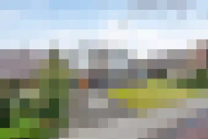 Kamperweg 6 Heerde thumbnail 54