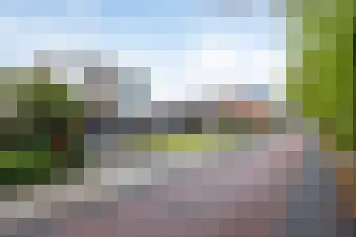 Kamperweg 6 Heerde thumbnail 57