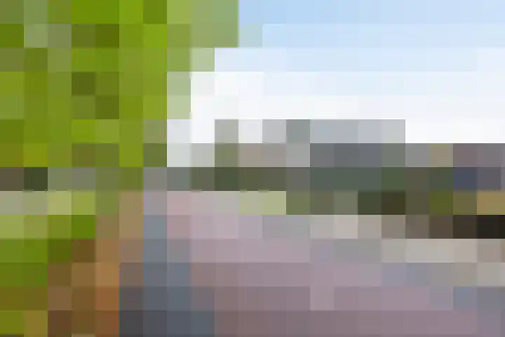 Kamperweg 6 Heerde thumbnail 58