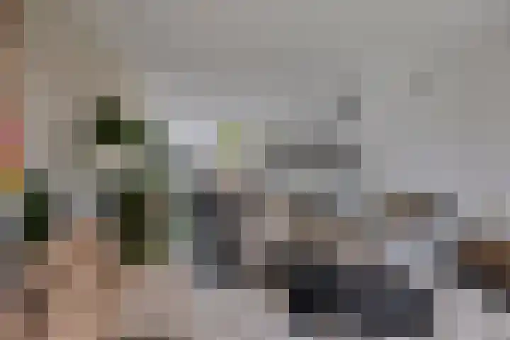 Kamperweg 6 Heerde thumbnail 6