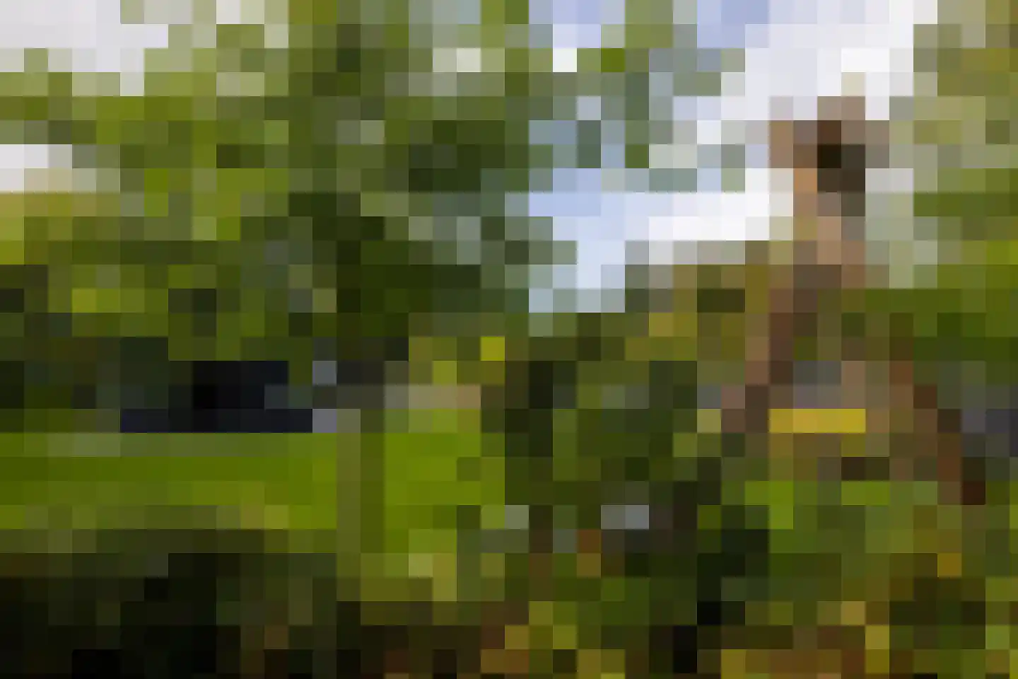 Kamperweg 60 Epe thumbnail 33