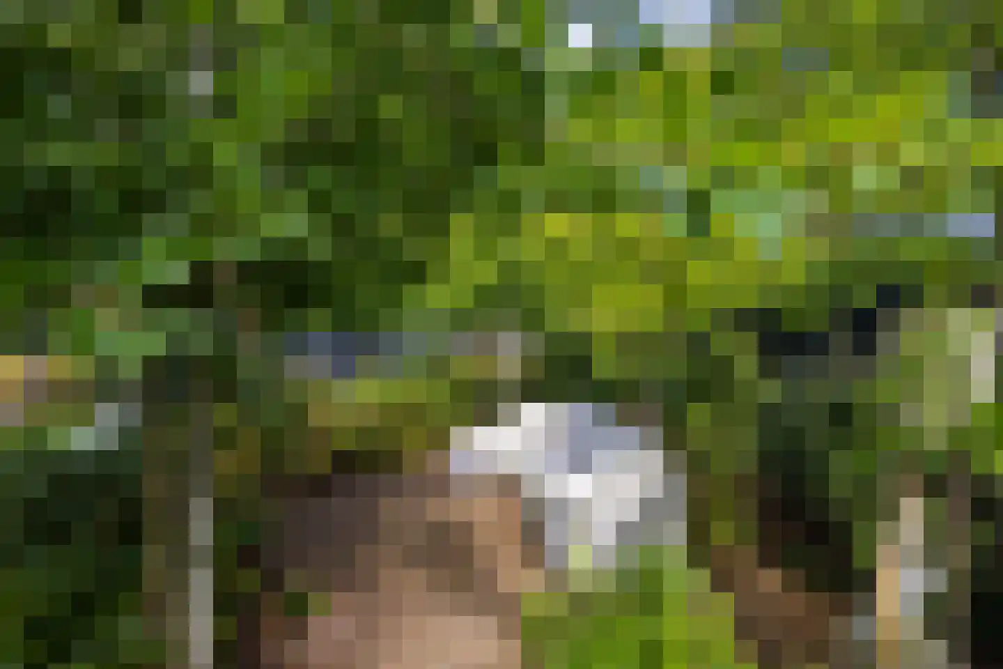 Kamperweg 60 Epe thumbnail 34