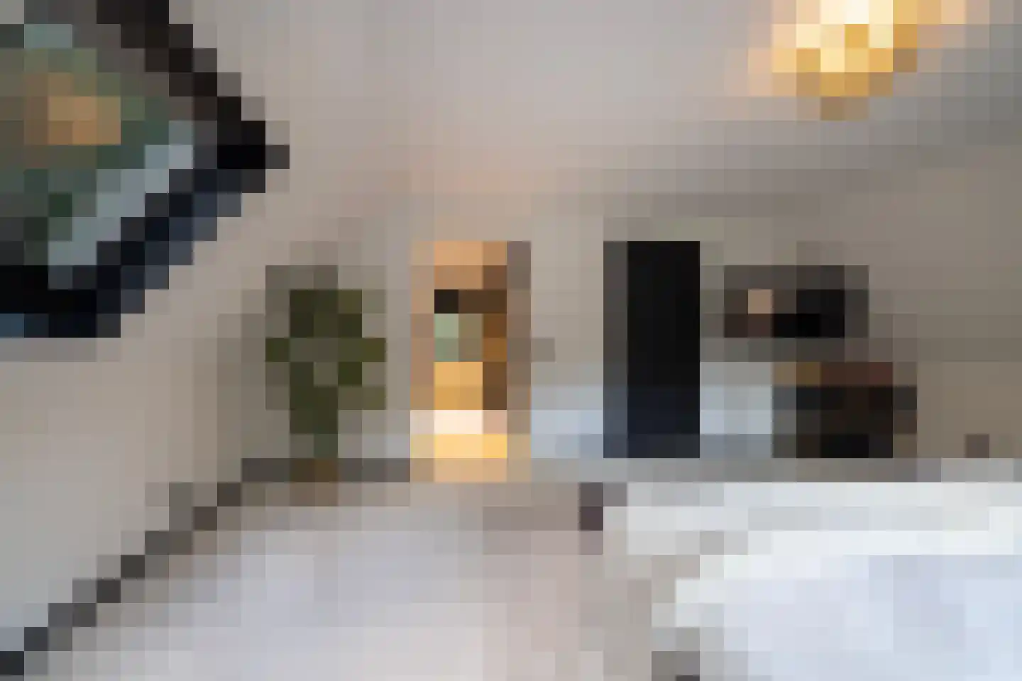 Kamperweg 60 Epe thumbnail 37