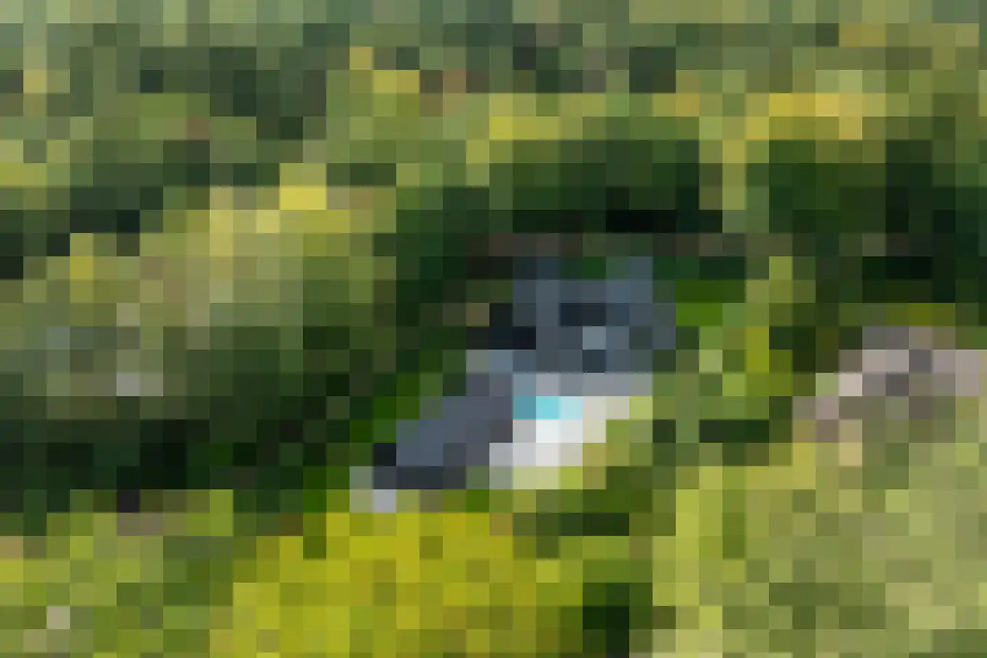 Kamperweg 60 Epe thumbnail 46