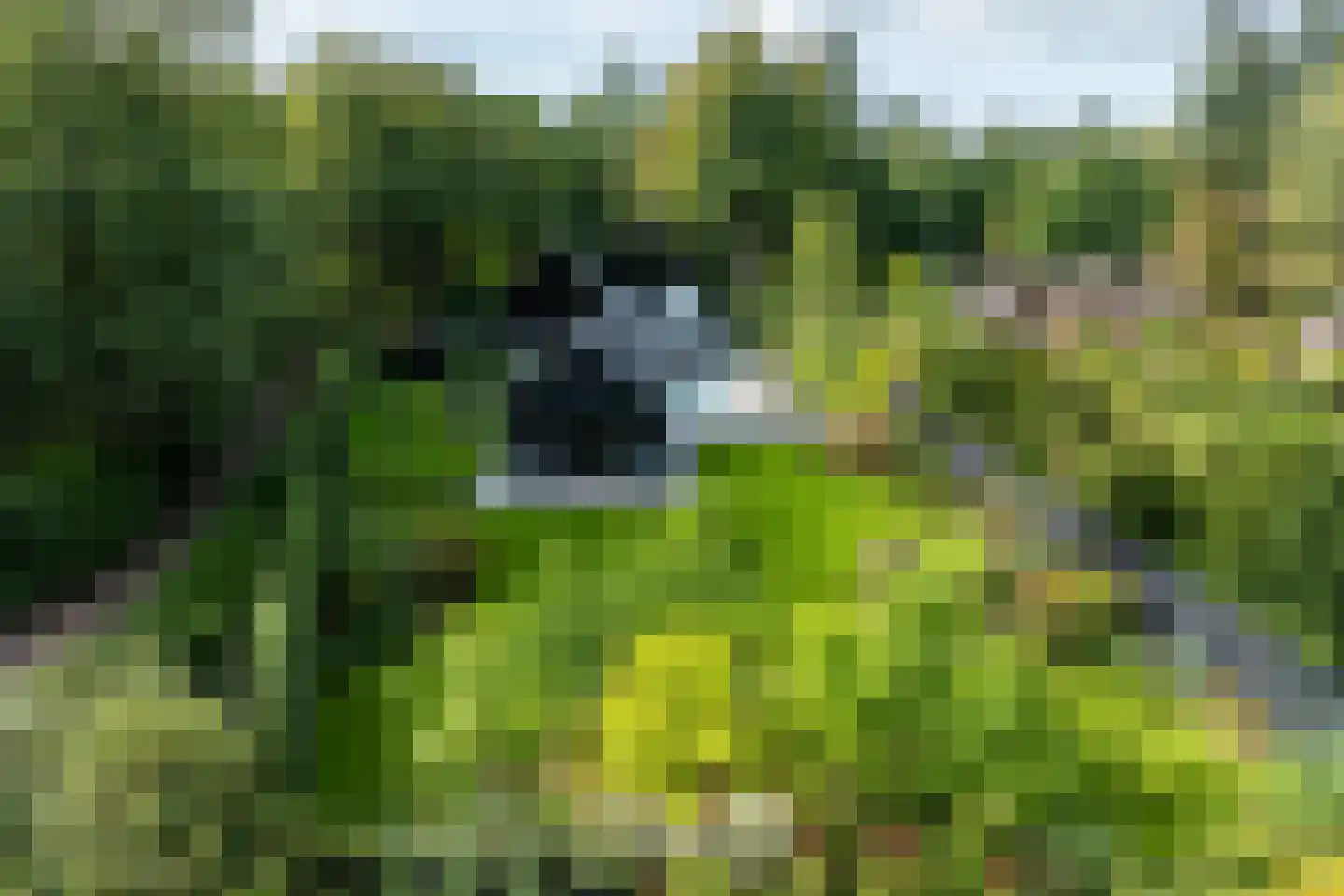 Kamperweg 60 Epe thumbnail 48