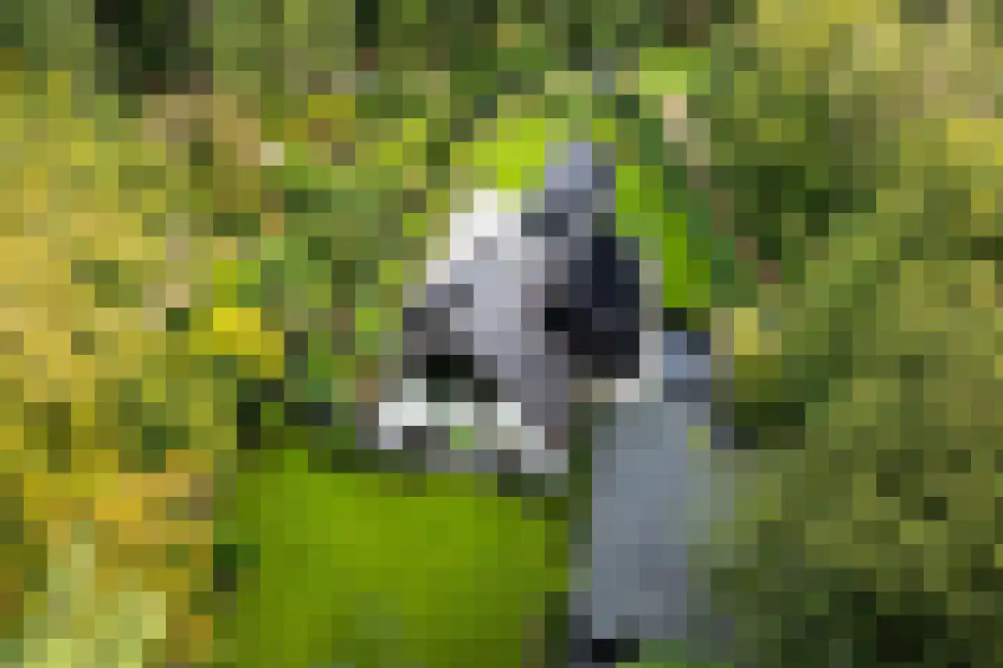 Kamperweg 60 Epe thumbnail 5
