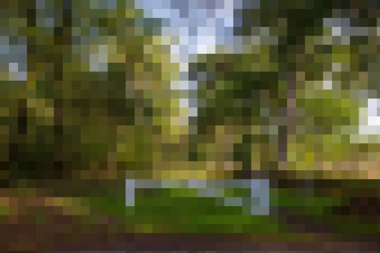 Kamperweg 60 Epe thumbnail 61