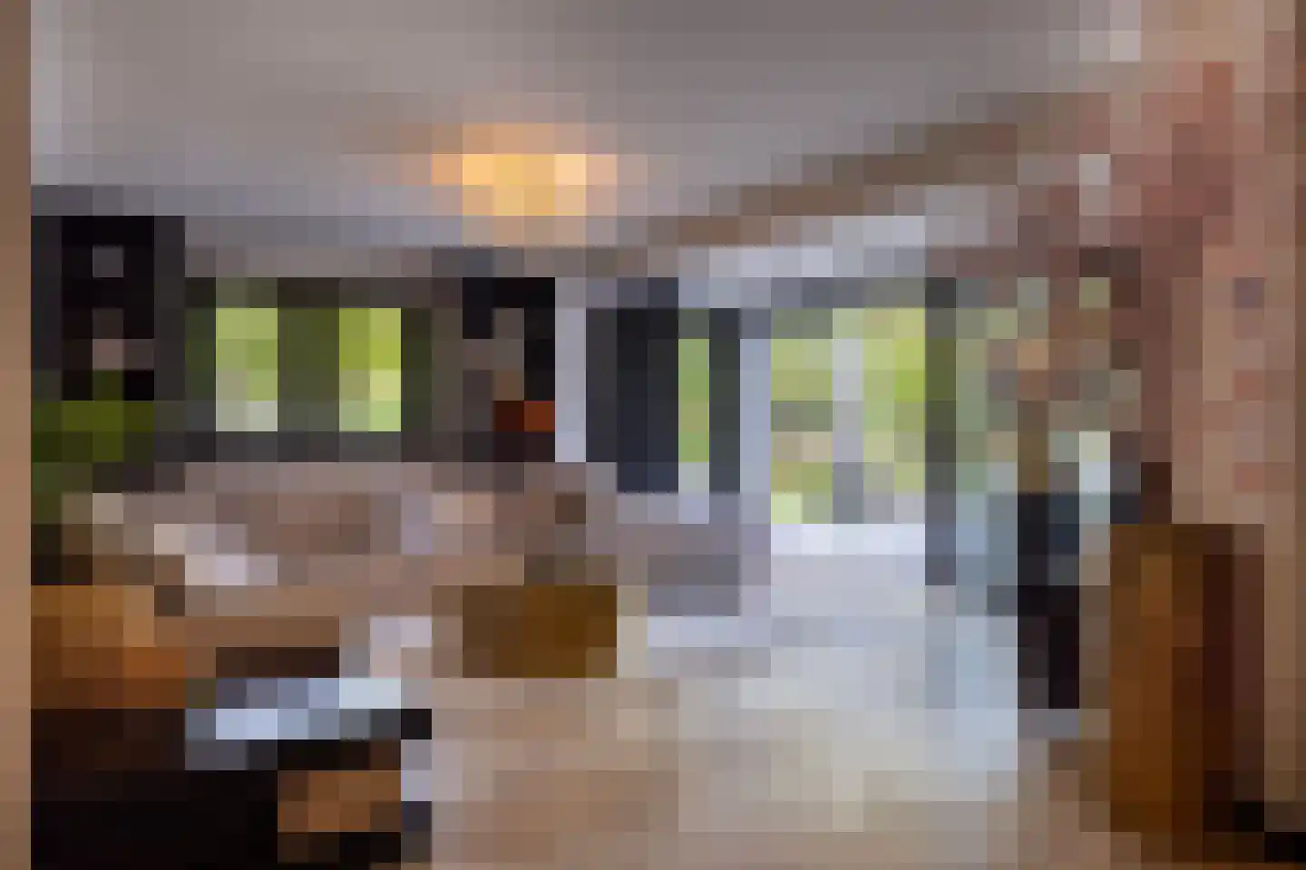 Kamperweg 60 Epe thumbnail 7