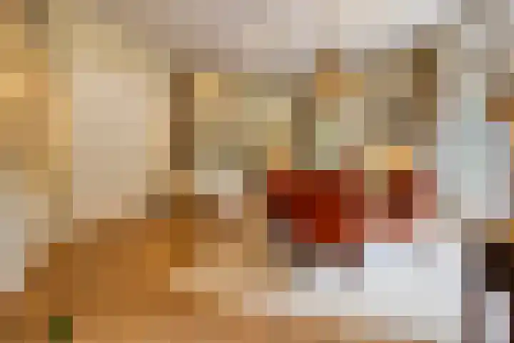 Kamperweg 75 Epe thumbnail 12