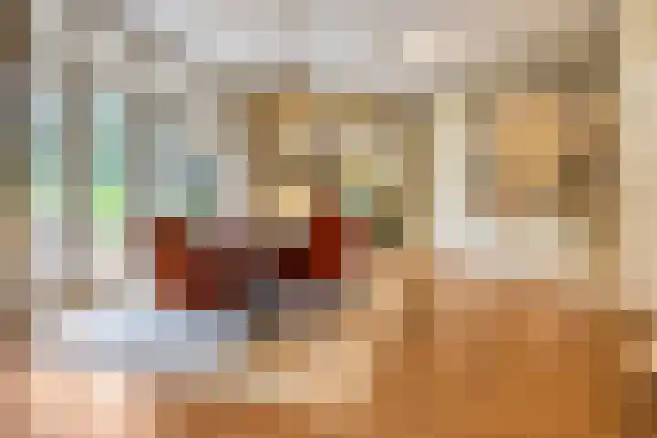 Kamperweg 75 Epe thumbnail 13