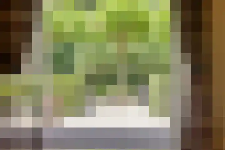 Kamperweg 75 Epe thumbnail 17