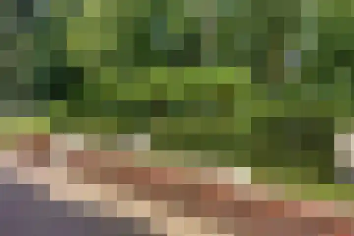 Kamperweg 75 Epe thumbnail 18