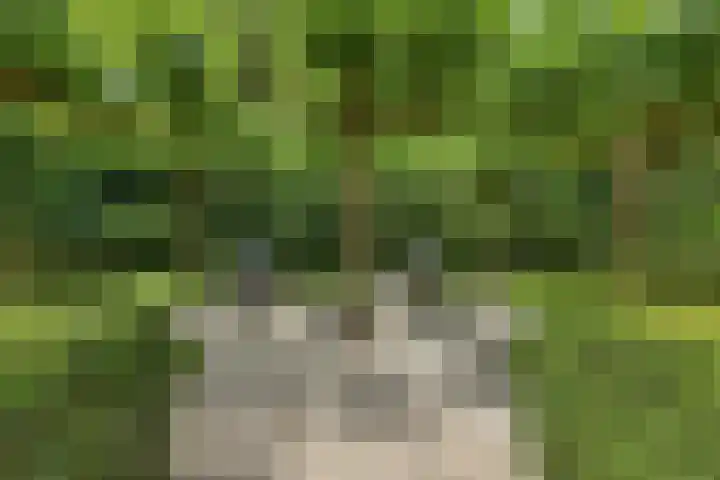 Kamperweg 75 Epe thumbnail 19
