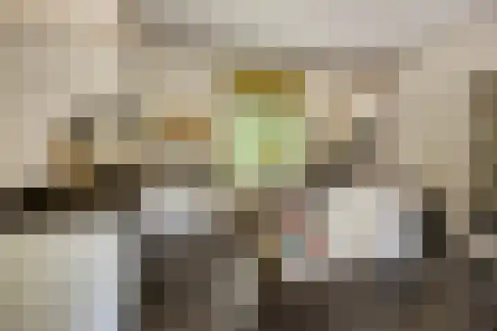Kamperweg 75 Epe thumbnail 22