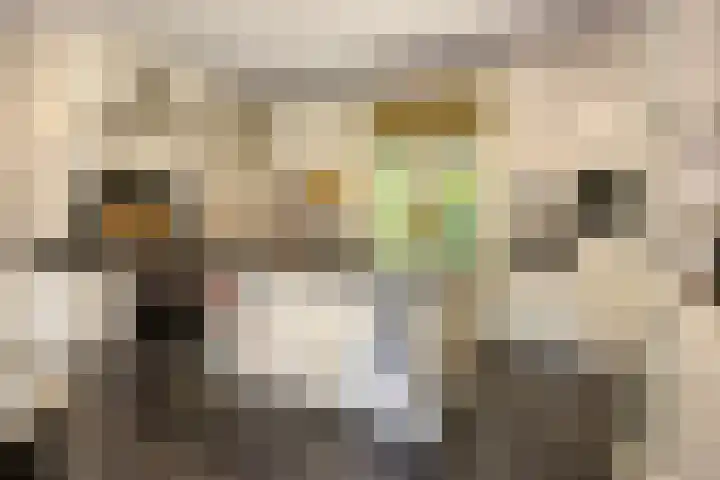 Kamperweg 75 Epe thumbnail 23