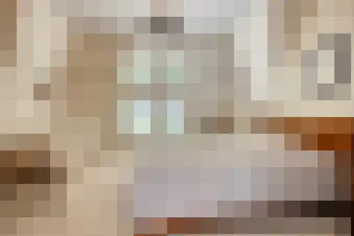 Kamperweg 75 Epe thumbnail 35