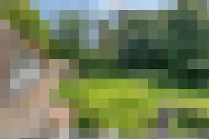 Kamperweg 75 Epe thumbnail 39