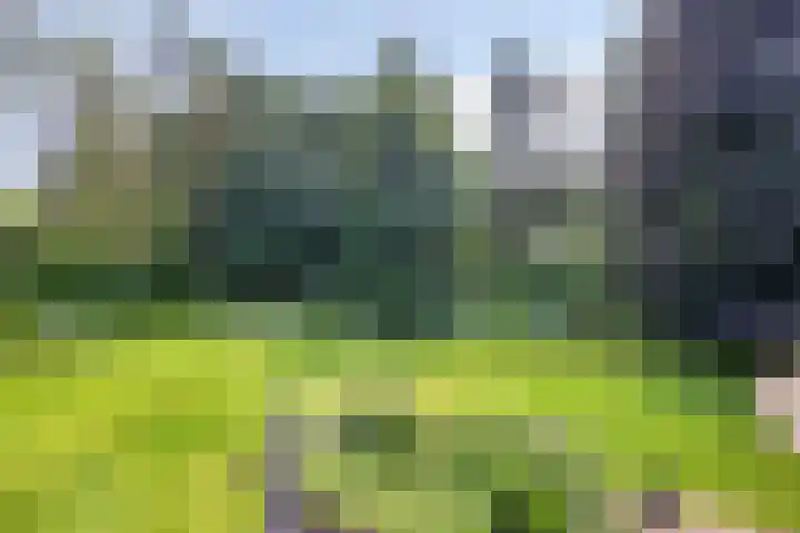 Kamperweg 75 Epe thumbnail 40