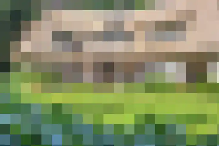 Kamperweg 75 Epe thumbnail 41