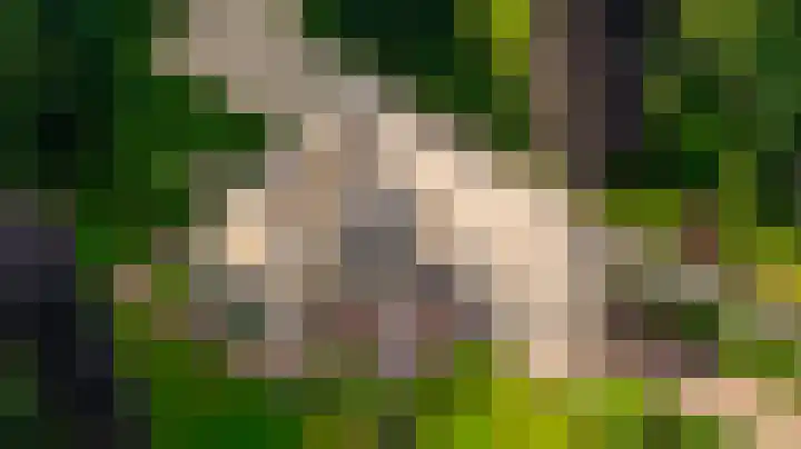 Kamperweg 75 Epe thumbnail 47
