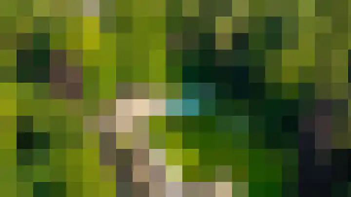 Kamperweg 75 Epe thumbnail 50