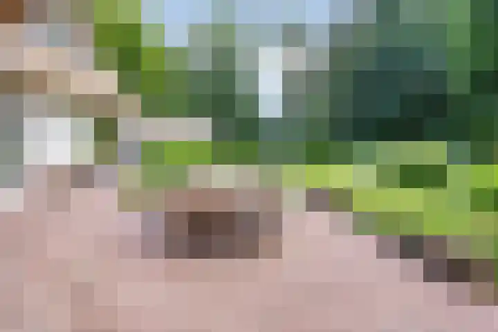 Kamperweg 75 Epe thumbnail 53