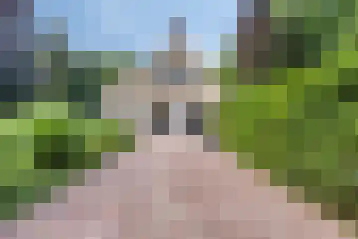 Kamperweg 75 Epe thumbnail 54