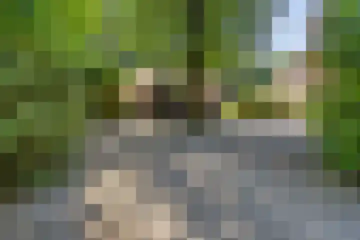 Kamperweg 75 Epe thumbnail 56