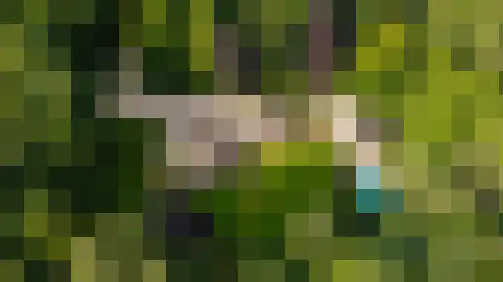 Kamperweg 75 Epe thumbnail 6