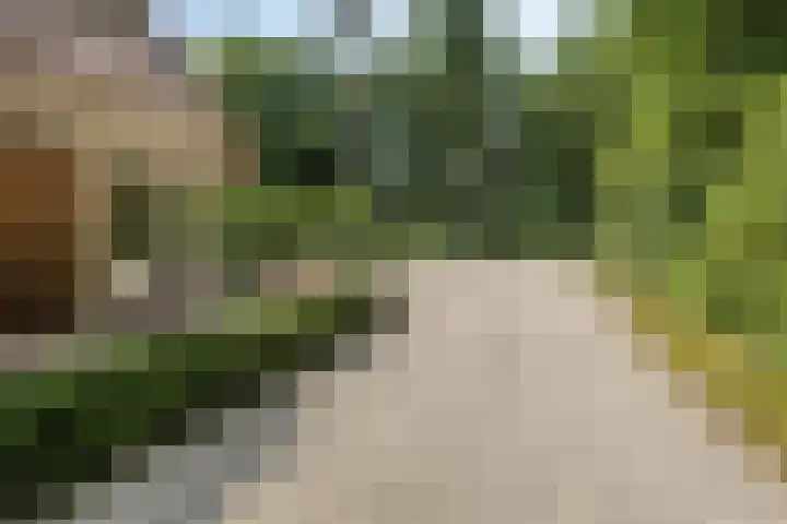 Kamperweg 75 Epe thumbnail 61