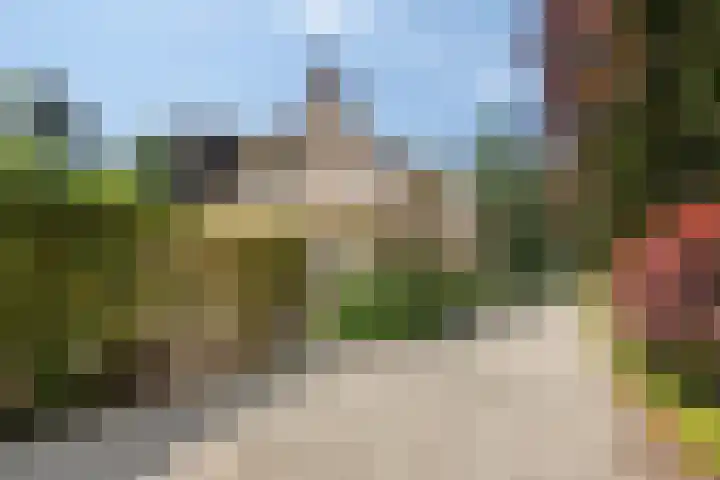 Kamperweg 75 Epe thumbnail 62