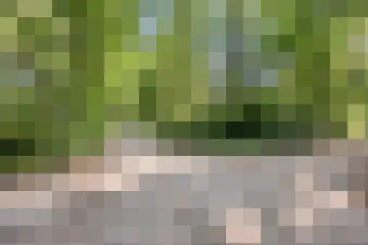 Kamperweg 75 Epe thumbnail 65