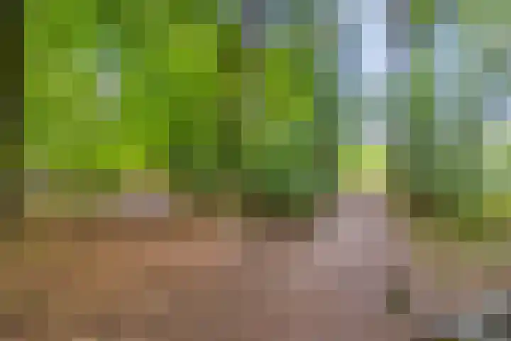 Kamperweg 75 Epe thumbnail 66