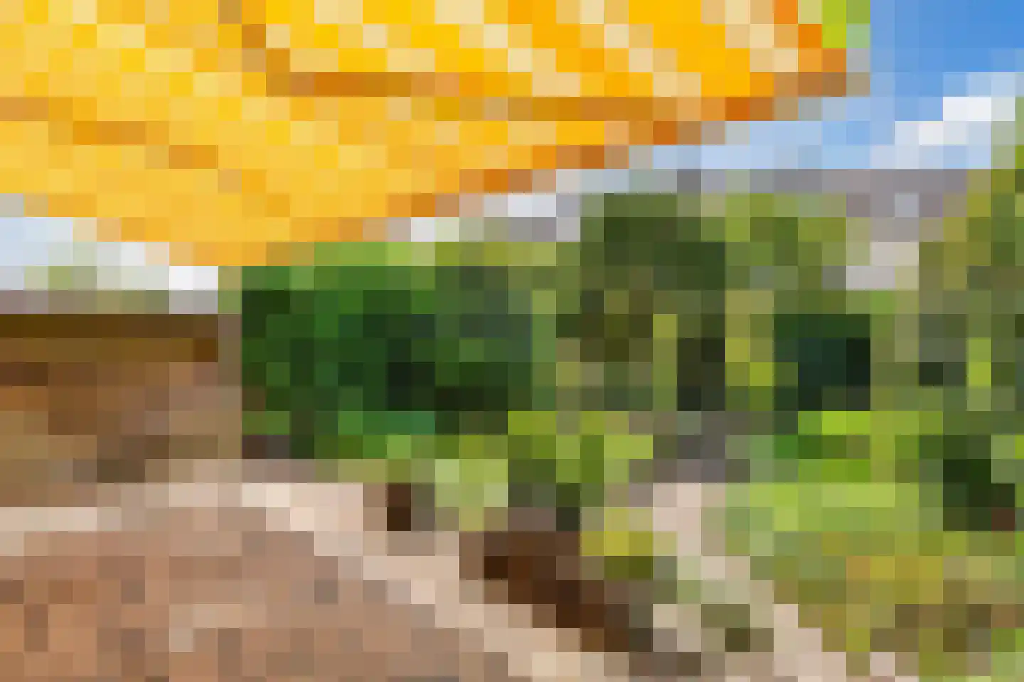 Kamperzand 25 Huizen thumbnail 38
