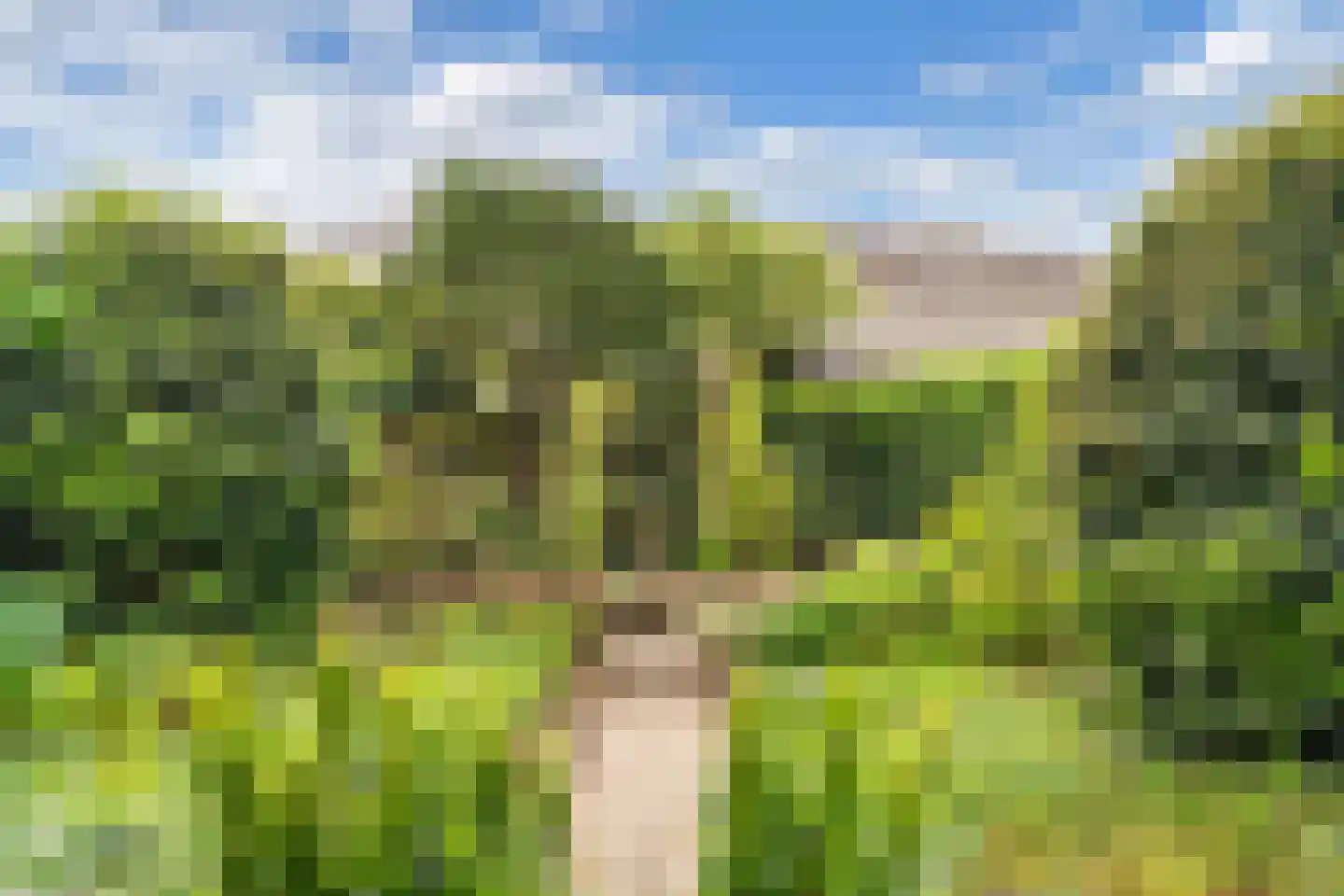 Kamperzand 25 Huizen thumbnail 39