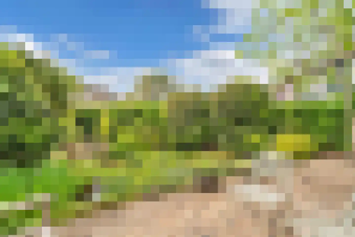 Kamperzand 25 Huizen thumbnail 40