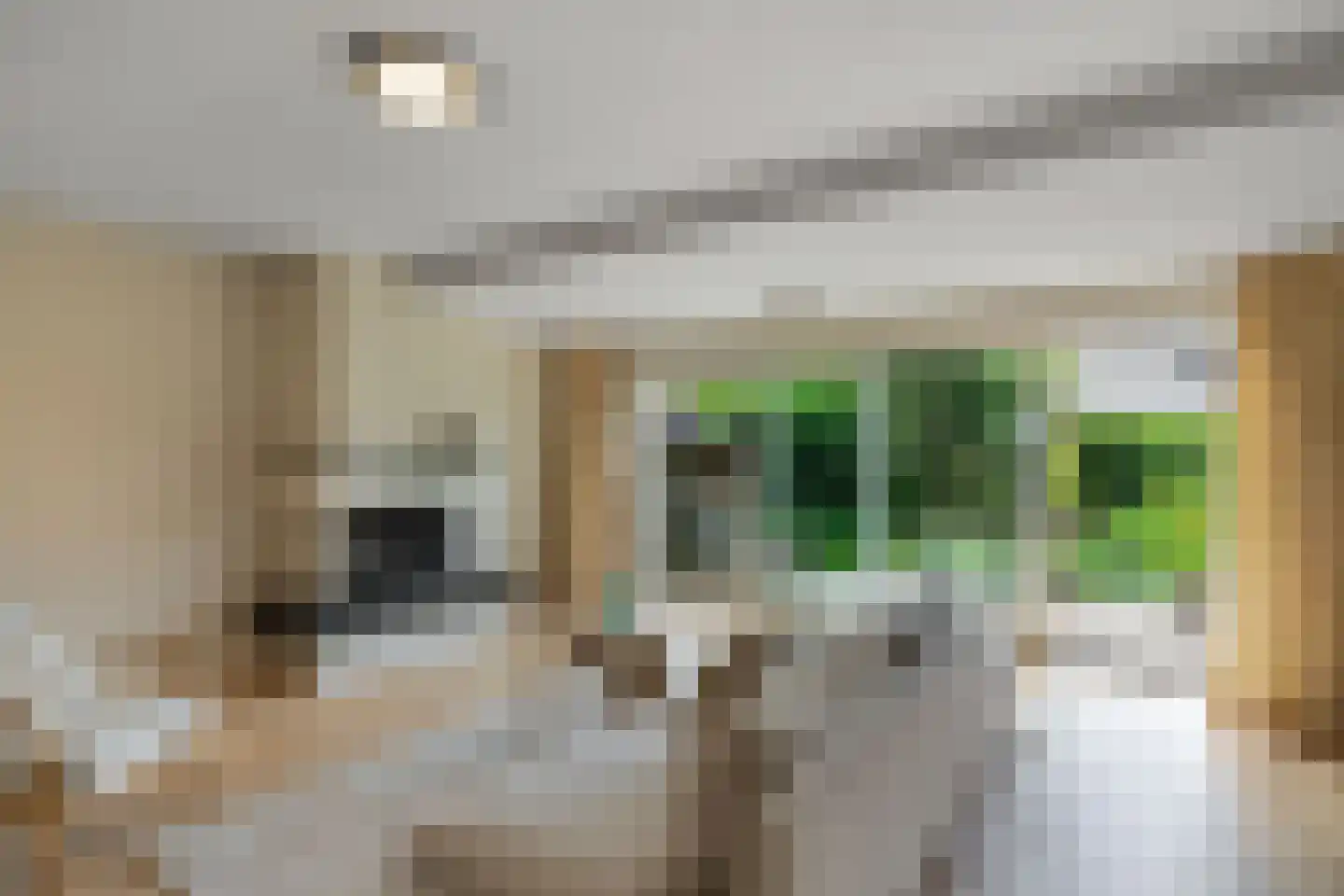 Kamperzand 25 Huizen thumbnail 7