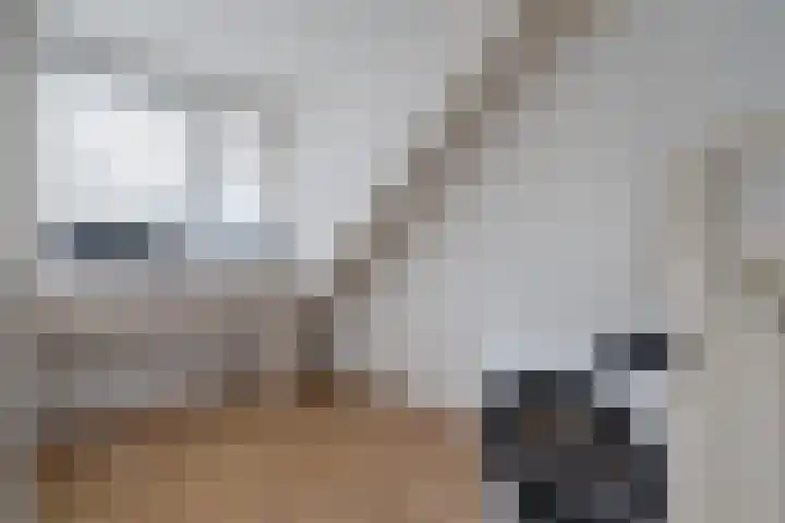 Kamperzand 26 Huizen thumbnail 34