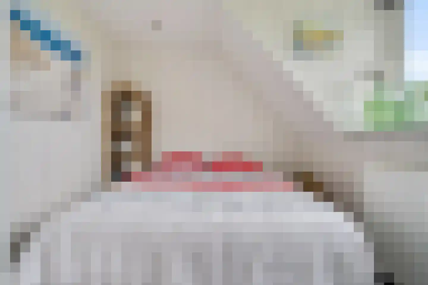 Kamperzandweg 16 C Ens thumbnail 29